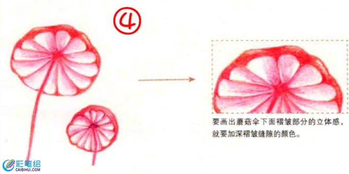 彩鉛畫蘑菇教程