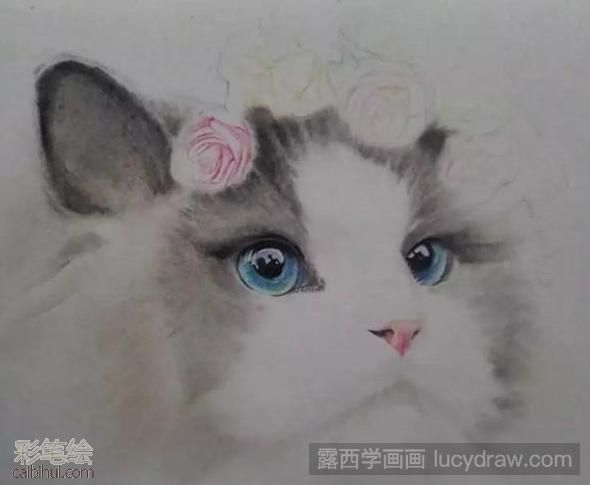 彩鉛畫布偶貓教程
