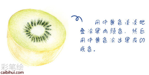 入門(mén)彩鉛畫(huà)獼猴桃教程