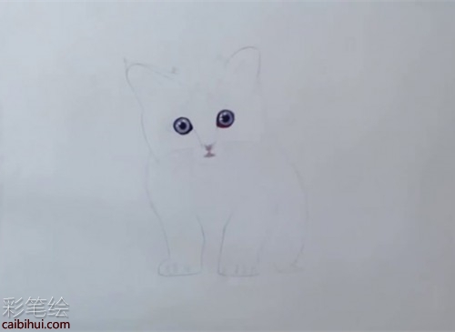 橘貓彩鉛畫步驟教程