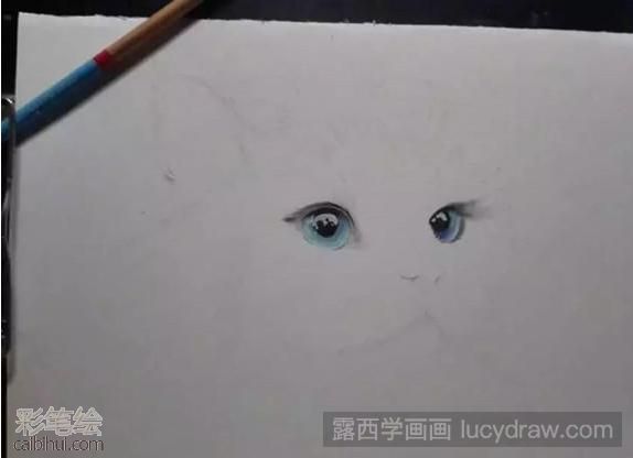 彩鉛畫布偶貓教程