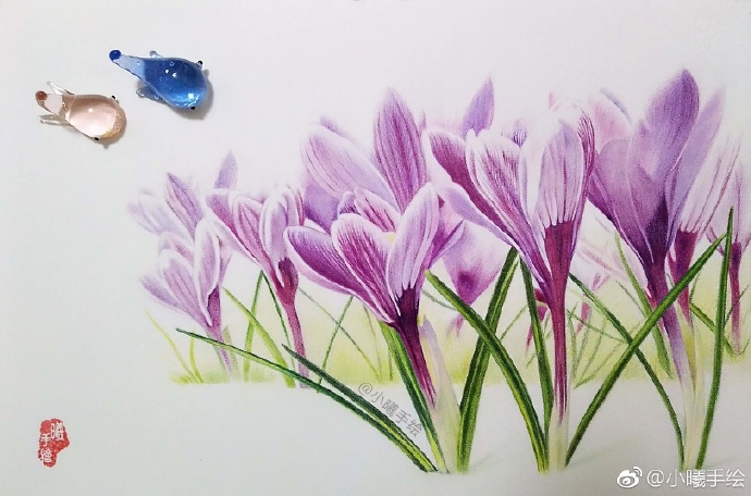 彩鉛畫(huà)花卉好心情