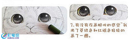 彩鉛畫基礎(chǔ)技法教學(xué)：彩鉛畫上色步驟精講