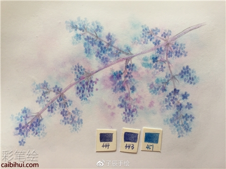 彩鉛畫花卉步驟圖