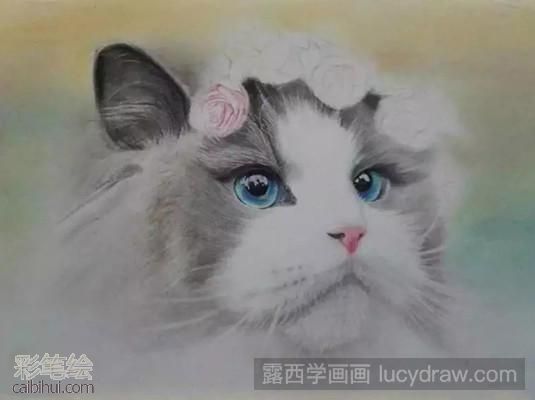 彩鉛畫布偶貓教程