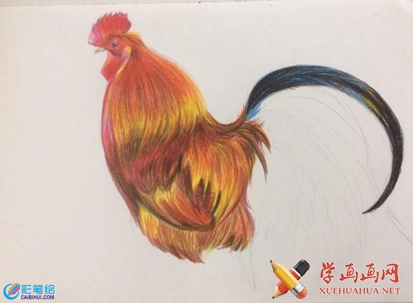 大公雞彩鉛畫