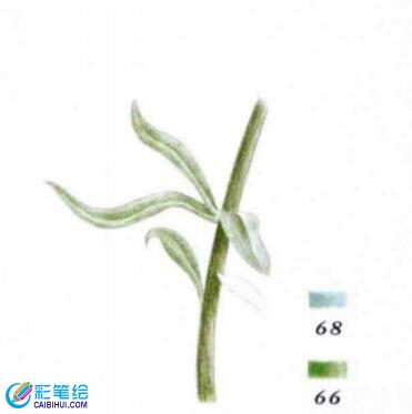 彩鉛畫紫羅蘭的步驟
