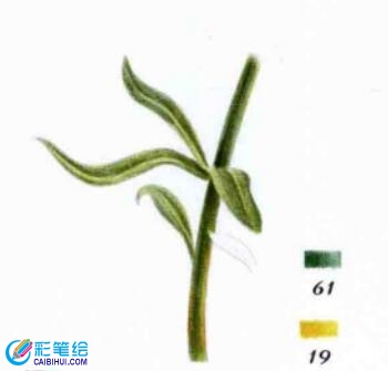 彩鉛畫紫羅蘭的步驟