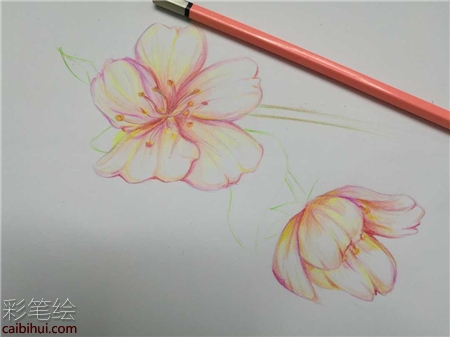 櫻花彩鉛手繪教程