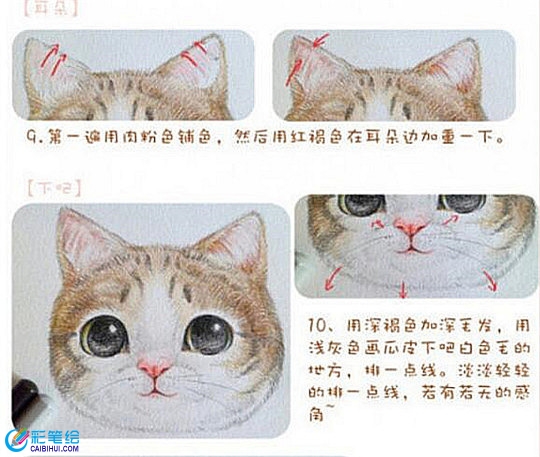 彩鉛畫基礎(chǔ)技法教學(xué)：彩鉛畫上色步驟精講
