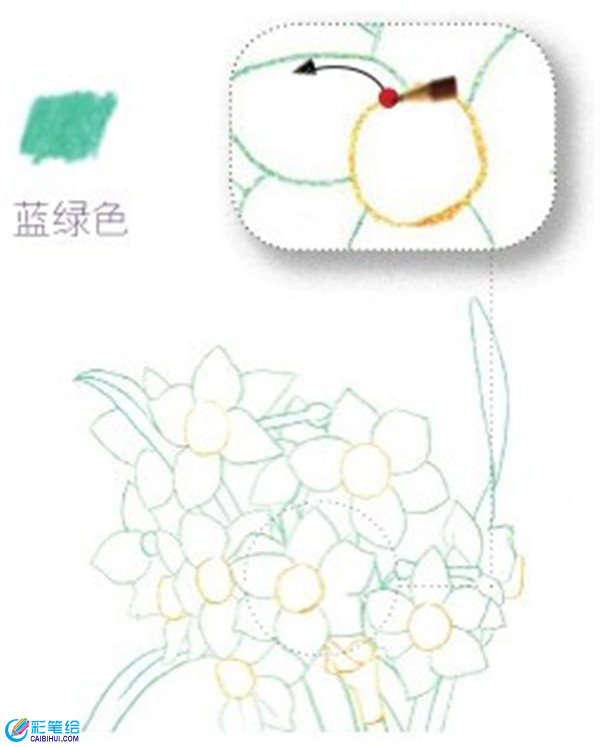 彩鉛畫水仙花的畫法