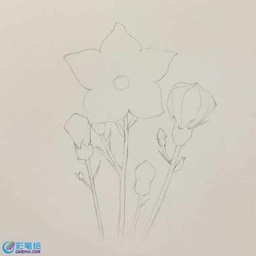 彩鉛畫桔?；? style=