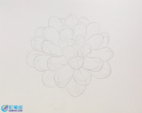 多肉玉露彩鉛手繪教程