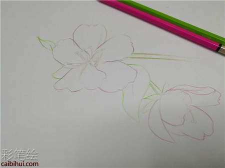 櫻花彩鉛手繪教程