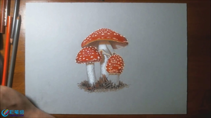 彩鉛畫可愛的小蘑菇