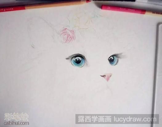 彩鉛畫布偶貓教程