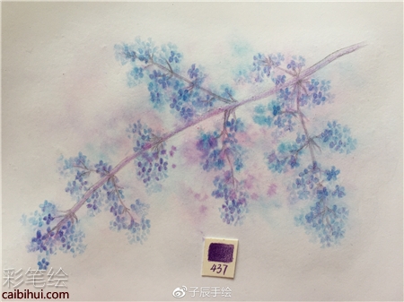 彩鉛畫花卉步驟圖