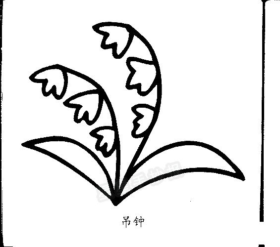 吊鐘簡(jiǎn)筆畫(huà)