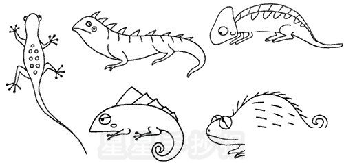 蜥蜴簡(jiǎn)筆畫圖片教程