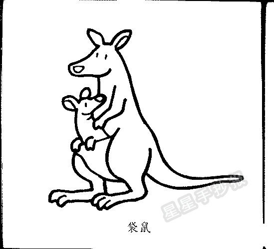 袋鼠簡(jiǎn)筆畫