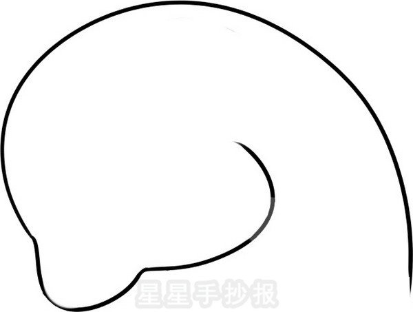 海獅簡筆畫