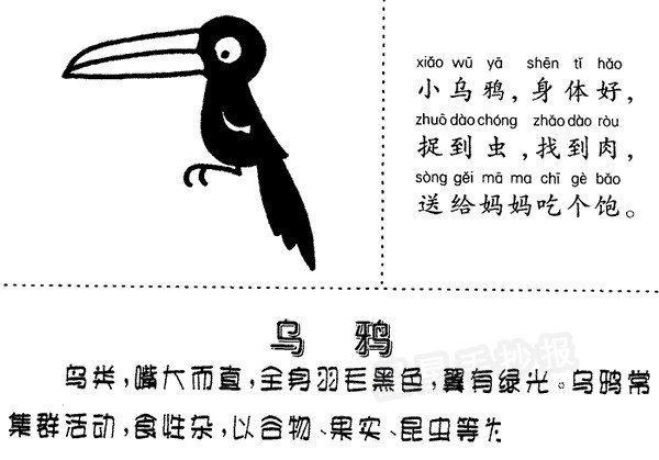 烏鴉簡(jiǎn)筆畫(huà)圖片、兒歌與知識(shí)