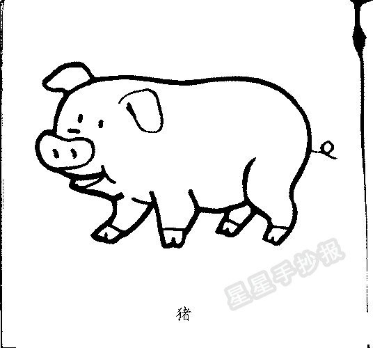 豬簡筆畫