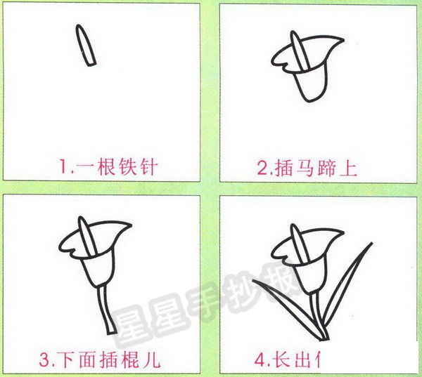 馬蹄蓮簡筆畫圖片（未上色版）