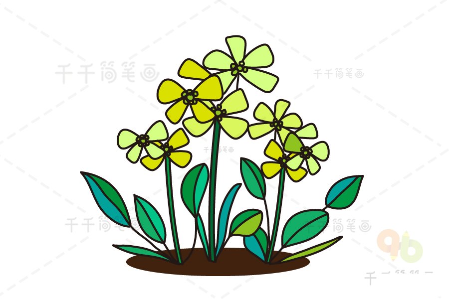 野生葶藶花