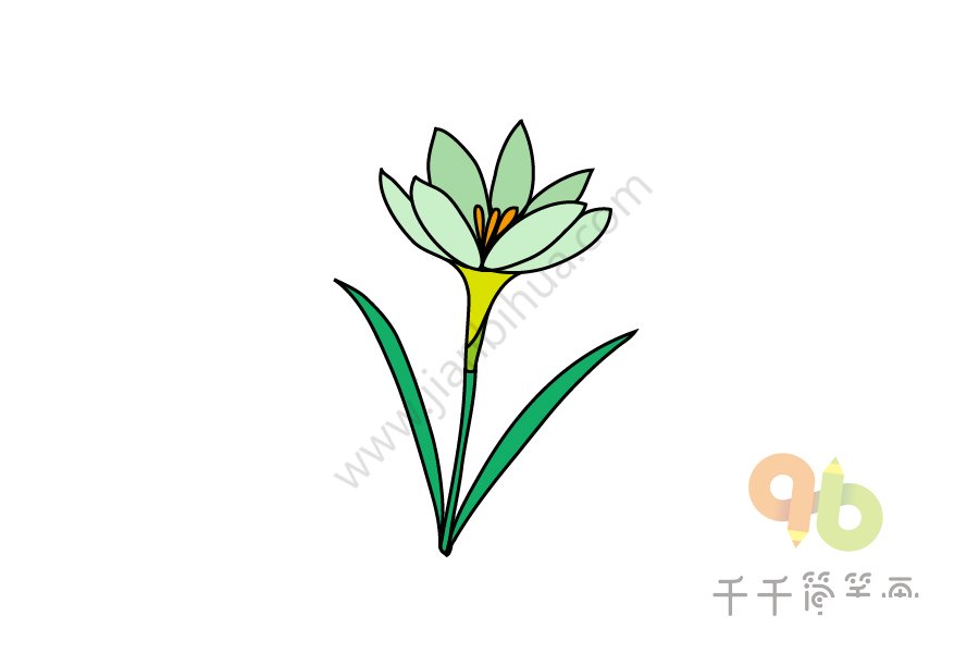 蔥蘭簡筆畫示例