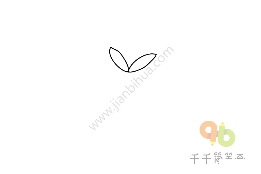 蔥蘭簡筆畫教程