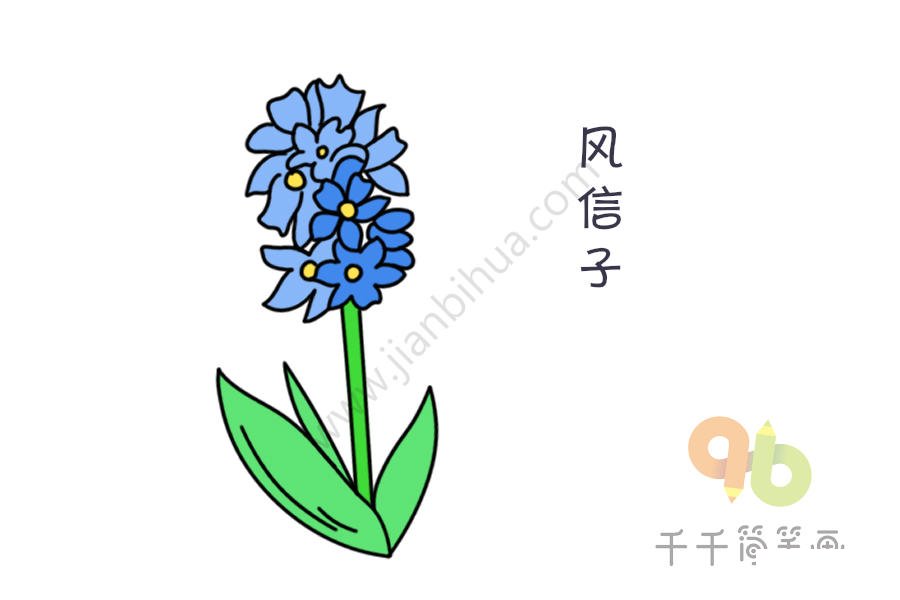 風(fēng)信子簡(jiǎn)筆畫(huà)