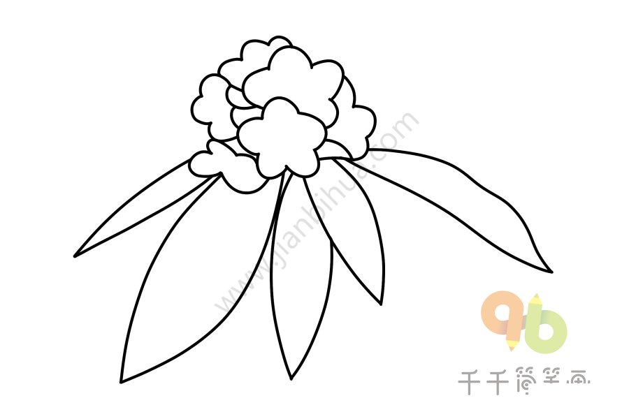 馬纓杜鵑簡筆畫示例3