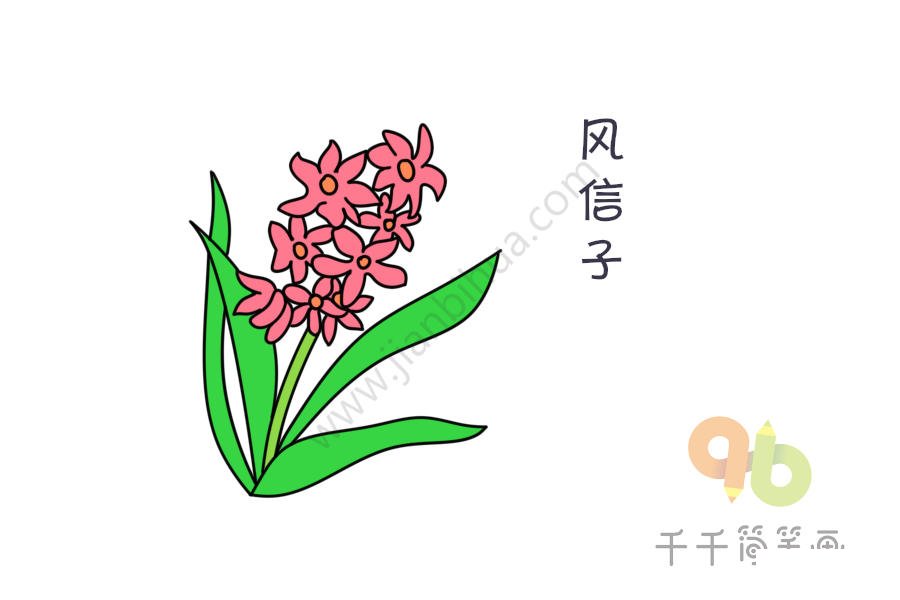 風(fēng)信子簡(jiǎn)筆畫(huà)