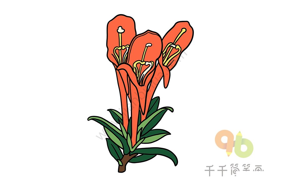 鯨魚花簡筆畫1
