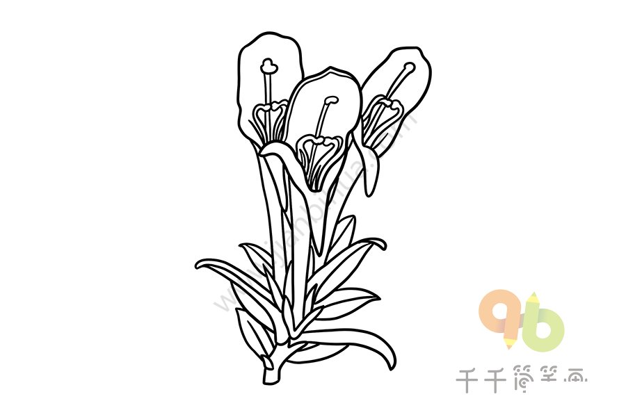 鯨魚花簡筆畫大全
