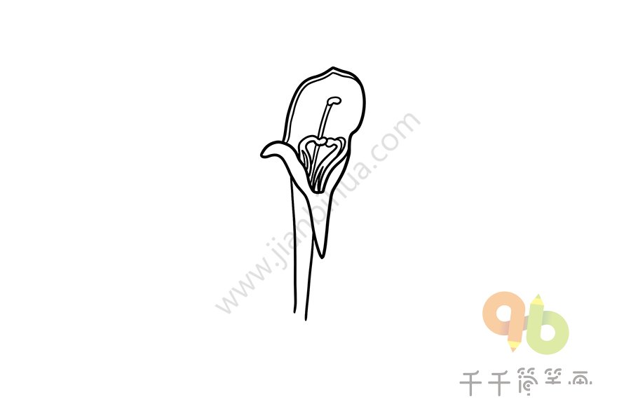 鯨魚花簡筆畫2