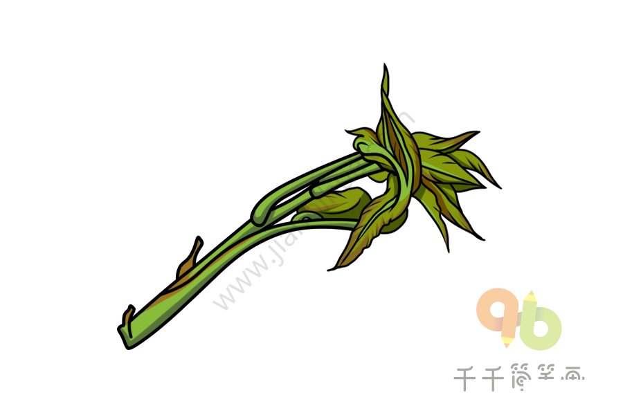 香椿芽簡筆畫步驟圖一