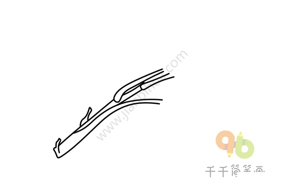 香椿芽簡筆畫步驟圖二