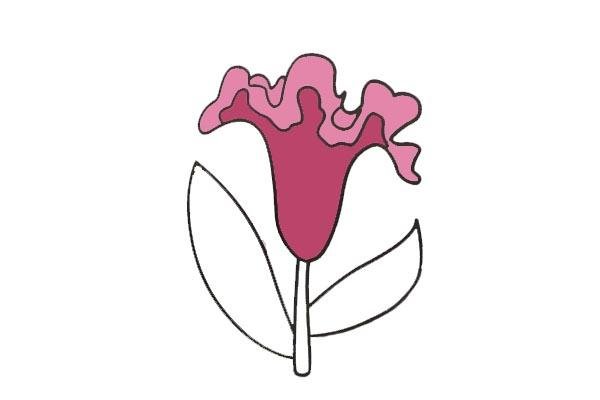 雞冠花簡筆畫