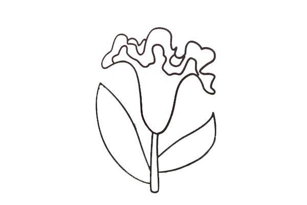 雞冠花簡筆畫