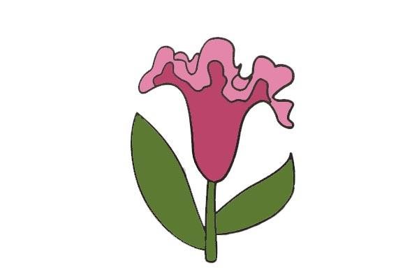 雞冠花簡筆畫