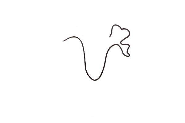 雞冠花簡筆畫
