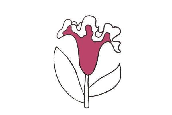 雞冠花簡筆畫