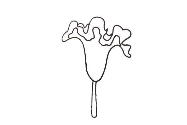 雞冠花簡筆畫