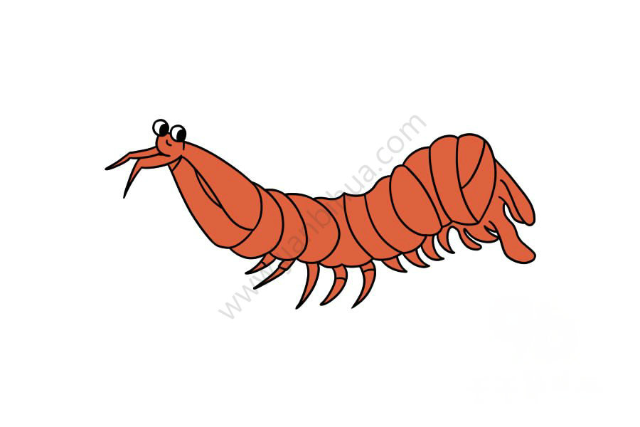螳螂蝦簡(jiǎn)筆畫