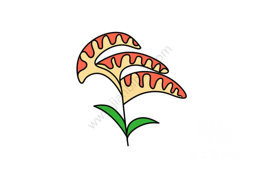 雞冠花簡(jiǎn)筆畫(huà)圖片