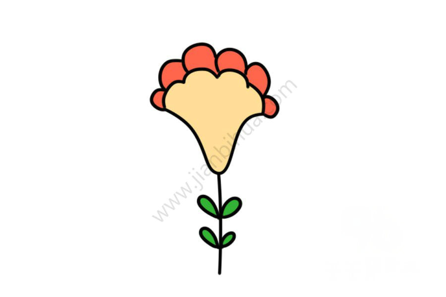 漂亮的雞冠花簡筆畫