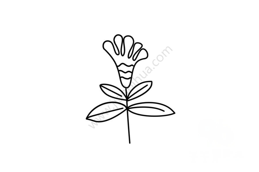 輕松學(xué)雞冠花簡筆畫