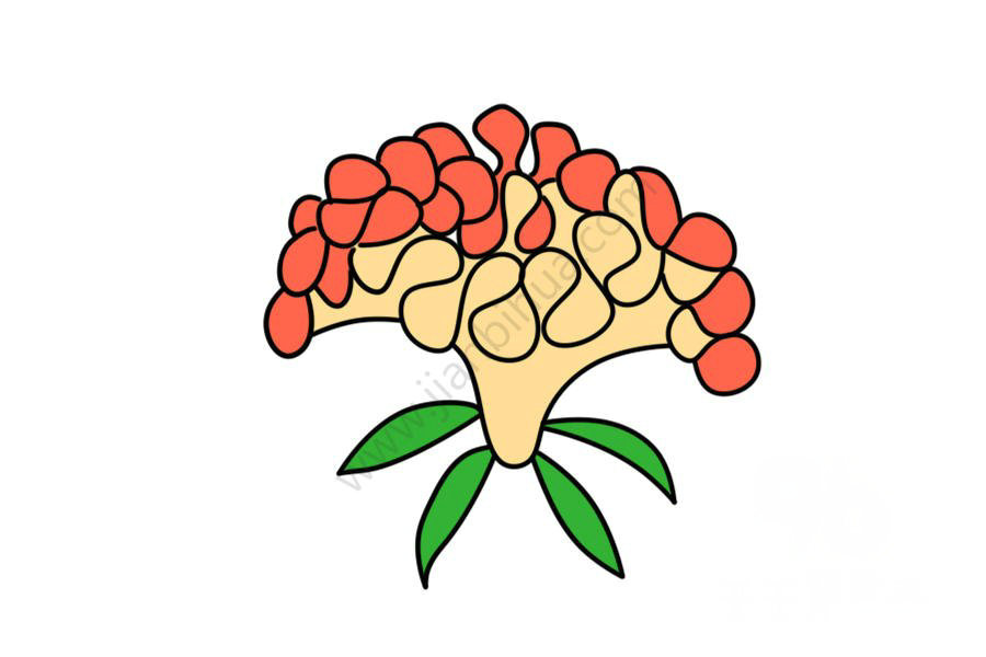 雞冠花簡筆畫